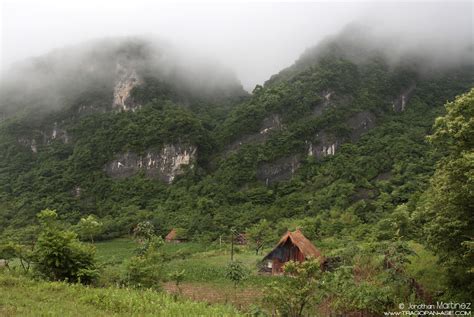 壺瓶山有哪些賓館，不妨從歷史的角度來探討。